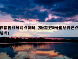 微信视频号能点赞吗（微信视频号能给自己点赞吗）