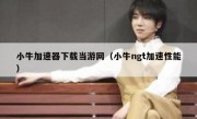 小牛加速器下载当游网（小牛ngt加速性能）
