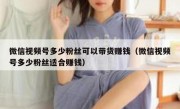 微信视频号多少粉丝可以带货赚钱（微信视频号多少粉丝适合赚钱）
