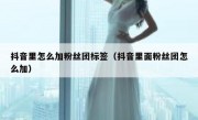 抖音里怎么加粉丝团标签（抖音里面粉丝团怎么加）