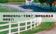 推特粉丝为什么一下没有了（推特粉丝莫名其妙的没了）