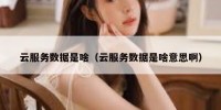 云服务数据是啥（云服务数据是啥意思啊）