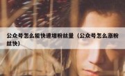 公众号怎么能快速增粉丝量（公众号怎么涨粉丝快）