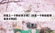抖音上一个粉丝多少钱?（抖音一个粉丝能带来多少利润）