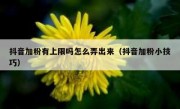 抖音加粉有上限吗怎么弄出来（抖音加粉小技巧）
