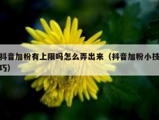 抖音加粉有上限吗怎么弄出来（抖音加粉小技巧）