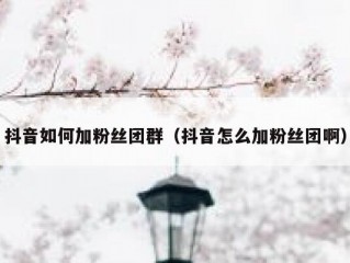 抖音如何加粉丝团群（抖音怎么加粉丝团啊）