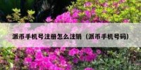 派币手机号注册怎么注销（派币手机号码）