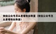 微信公众号怎么查看粉丝数量（微信公众号怎么查看粉丝数量）