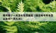 限号跑了一天怎么处罚保定（保定限号开车怎么处罚一天几次）