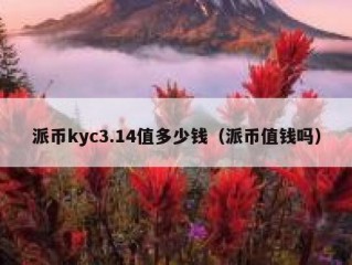 派币kyc3.14值多少钱（派币值钱吗）