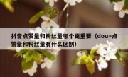 抖音点赞量和粉丝量哪个更重要（dou+点赞量和粉丝量有什么区别）