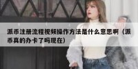 派币注册流程视频操作方法是什么意思啊（派币真的办卡了吗现在）