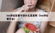 ins评论区看不到什么意思呢（ins评论看不全）