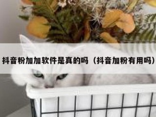 抖音粉加加软件是真的吗（抖音加粉有用吗）