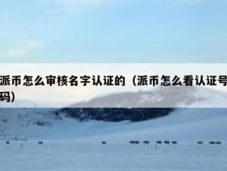 派币怎么审核名字认证的（派币怎么看认证号码）