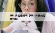 tiktok能赚钱吗（tiktok真的能赚钱吗）