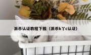 派币认证教程下载（派币k丫c认证）