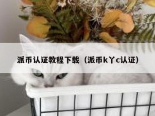 派币认证教程下载（派币k丫c认证）
