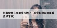 抖音粉丝在哪里看几级了（抖音粉丝在哪里看几级了啊）