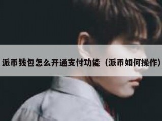派币钱包怎么开通支付功能（派币如何操作）