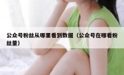公众号粉丝从哪里看到数据（公众号在哪看粉丝量）