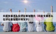 抖音文案怎么在评论里加图片（抖音文案怎么在评论里加图片和文字）