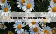 小型服务器（小型服务器多少钱）