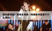 国内服务器厂商排名海康（海康服务器是干什么用的）