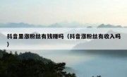 抖音里涨粉丝有钱赚吗（抖音涨粉丝有收入吗）