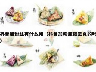 抖音加粉丝有什么用（抖音加粉赚钱是真的吗）