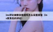 ins评论被删会提醒吗怎么设置回复（ins我发出的评论）