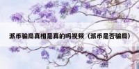 派币骗局真相是真的吗视频（派币是否骗局）