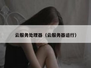 云服务处理器（云服务器运行）