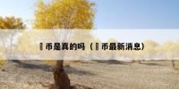 泒币是真的吗（泒币最新消息）