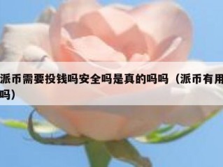 派币需要投钱吗安全吗是真的吗吗（派币有用吗）