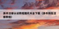 派币注册认证教程图片大全下载（派币钱包注册教程）