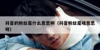 抖音的粉丝是什么意思啊（抖音粉丝是啥意思呀）