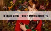 美国云服务中国（美国云服务中国那家能代）