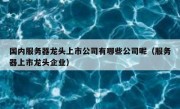 国内服务器龙头上市公司有哪些公司呢（服务器上市龙头企业）