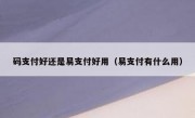 码支付好还是易支付好用（易支付有什么用）