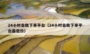 24小时自助下单平台（24小时自助下单平台最低价）