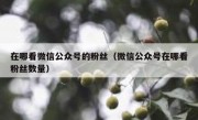 在哪看微信公众号的粉丝（微信公众号在哪看粉丝数量）