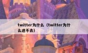 twitter为什么（twitter为什么进不去）