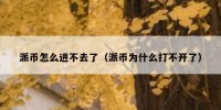 派币怎么进不去了（派币为什么打不开了）