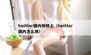 twitter国内如何上（twitter国内怎么用）