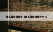 什么是云服务器（什么是云服务器ECS）