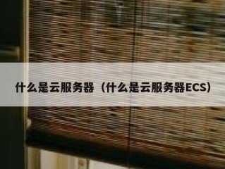 什么是云服务器（什么是云服务器ECS）