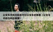 公交车手机扫码支付扫公交车的哪里（公交车手机扫码在哪里）