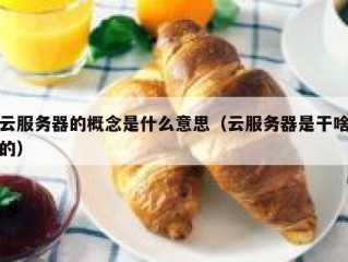 云服务器的概念是什么意思（云服务器是干啥的）